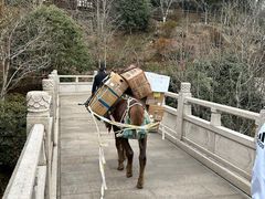 -径山寺