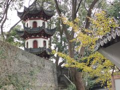 -川沙古镇-停车场