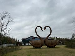 -东平国家森林公园