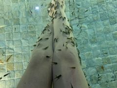 -春晖园度假酒店温泉