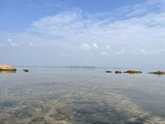 -西昌邛海湿地