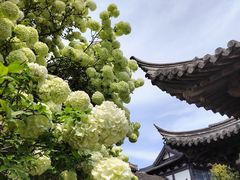 -常熟方塔园