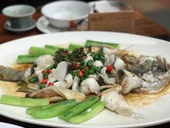 鲜花椒蒸桂花鲈-猪肉婆私房菜(容桂总店)