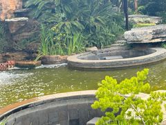 -七彩云南古滇温泉山庄