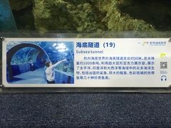 -杭州海底世界
