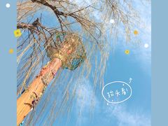 游乐设施-朝阳公园