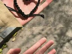 -CoCo都可(开发区梦乐城店)