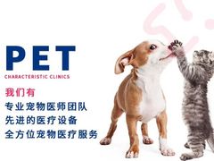 -宠颐生宠物医院·异宠猫科内科·诊疗中心宠巢店