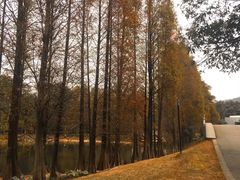 -华南国家植物园-售票处