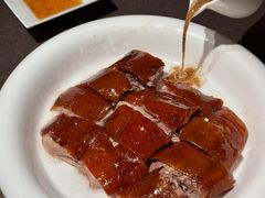 -南海渔村(珠江新城店)