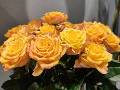 -BOBLOOM花店(宝龙旭辉广场店)