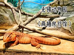 -无锡动物园·太湖欢乐园