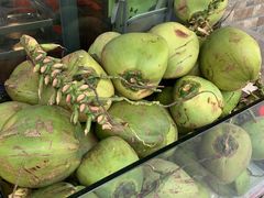 -东山羊庄(八卦岭店)