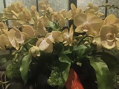-意卡菲·欢乐聚会餐厅(华侨店)
