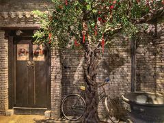 -和平菓局(王府井店)