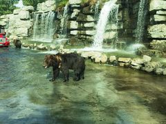 -北京野生动物园