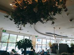 -花舍·新派粤菜·西餐·下午茶(亚运村·鸟巢店)