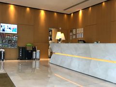 -新加坡柏薇罗切斯特酒店
