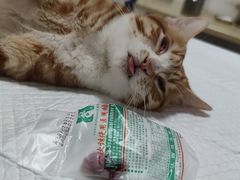 -灵美宠物诊所