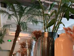 -the rug 飞毯 (朝阳公园店)