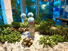 -春树下·树屋花房西餐厅(罍街AS1980店)