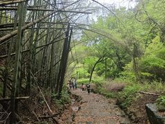 -会稽山峡洞漂流-上青古道