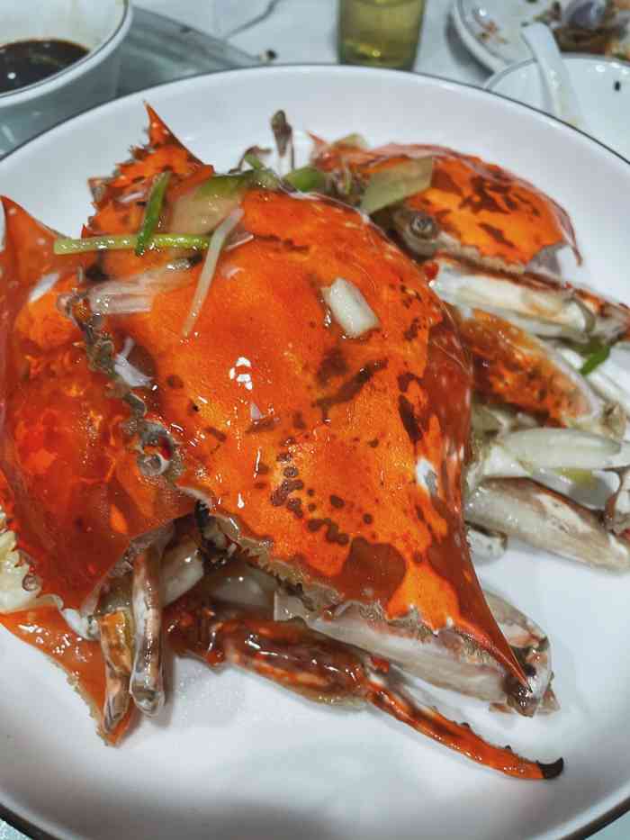 陈记海鲜酒家(牛庄路店)-"上次四个人吃了9道菜,小酒慢慢嘬,这次7.