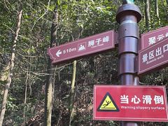 -缙云山景区