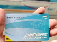 -龙阳路磁悬浮列车总站-停车场