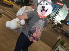 -天天玩X秋葉原日系动漫游戏中心