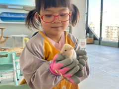 -怪兽屋·羊驼·猫咖·狗咖(俊华广场店)