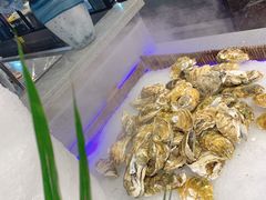 -圣罗巴海鲜自助(黑金店)