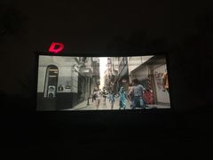 -枫花园汽车电影院(朝阳公园店)