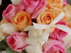 -芦月轩羊蝎子(劲松店)
