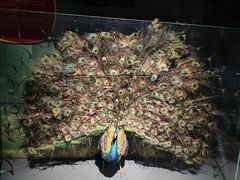 -厦门诚毅自然探索馆