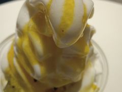 -Salud撒露欧洲冻酸奶(798艺术区店)