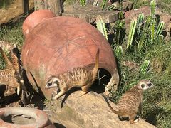 -大连森林动物园