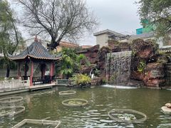 -碧江金楼