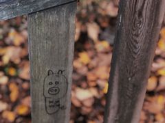 -帽儿山国家森林公园