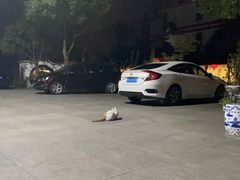 -龚家花园农家乐休闲别墅
