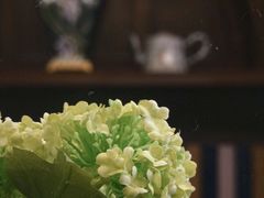 -东海咖啡馆