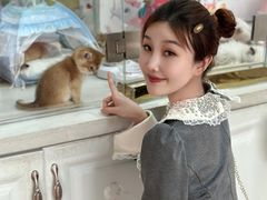 -糯米喵星人总部直营旗舰店·猫舍·幼猫出售