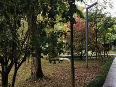 -福建鲤鱼洲酒店