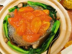 鲜茄珍菌青蔬煲-利苑酒家(华熙国际店)