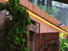 -拾光音乐餐酒吧(告庄星光夜市店)