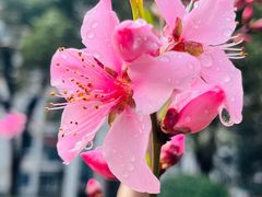 -潮堂 · 潮州菜(人广来福士店)