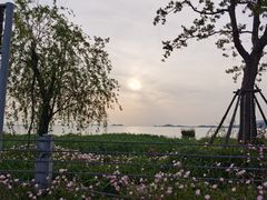 -苏州太湖国家湿地公园