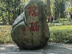 -瑞丽独树成林风景区