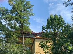 -千佛山风景名胜区