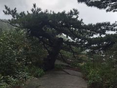 -罗田薄刀峰风景区
